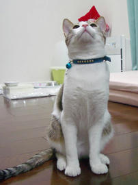 IMGP8959.jpg