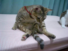 IMGP8995.jpg