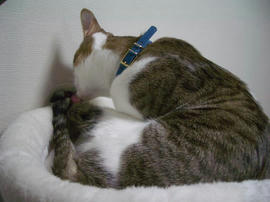 IMGP9106.jpg