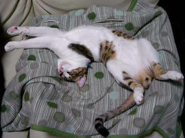 IMGP9350.jpg