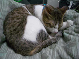 IMGP9452.jpg