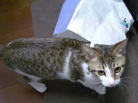 IMGP9518.jpg