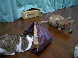IMGP9869.jpg