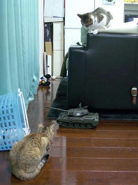 IMGP9987.jpg
