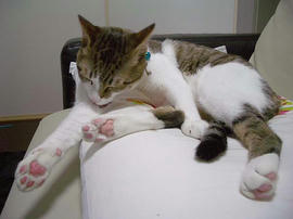 IMGP10093.jpg