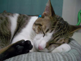 IMGP10112.jpg