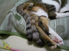 IMGP10113.jpg