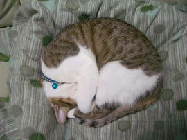 IMGP10201.jpg