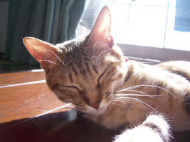 IMGP10255.jpg