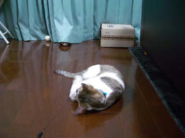 IMGP10282.jpg
