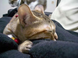IMGP10578.jpg