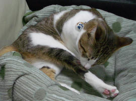 IMGP10639.jpg