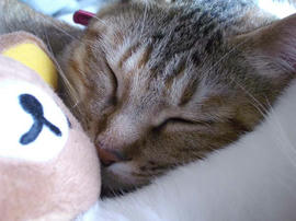 IMGP10713.jpg