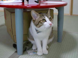 IMGP10715.jpg