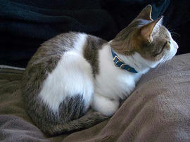 IMGP10765.jpg