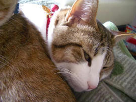 IMGP10839.jpg