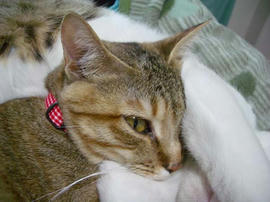 IMGP10891.jpg