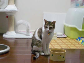IMGP10893.jpg