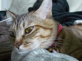 IMGP10918.jpg