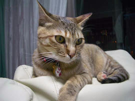 IMGP10930.jpg