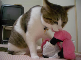 IMGP10949.jpg