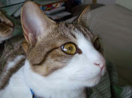 IMGP11004.jpg