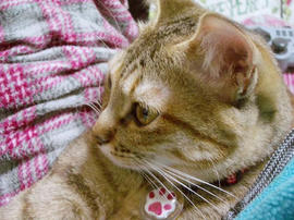IMGP11023.jpg