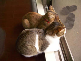 IMGP11031.jpg