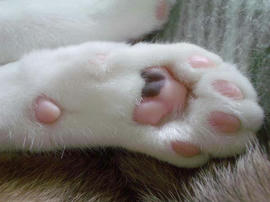 IMGP11040.jpg