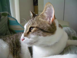 IMGP11051.jpg