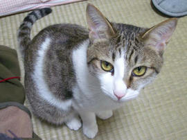 IMGP11065.jpg