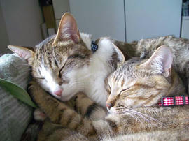 IMGP11127.jpg