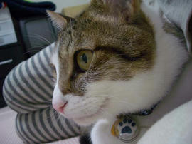 IMGP11141.jpg