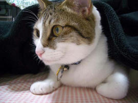 IMGP11144.jpg