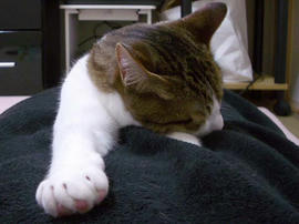 IMGP11149.jpg