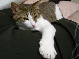 IMGP11179.jpg
