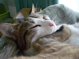 IMGP11296.jpg