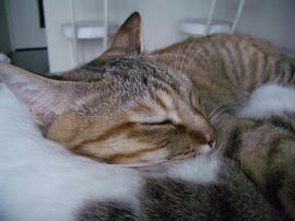 IMGP11299.jpg