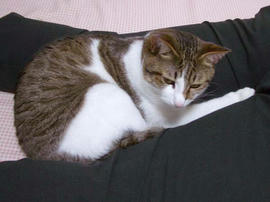 IMGP11306.jpg
