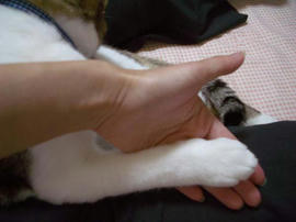 IMGP11310.jpg