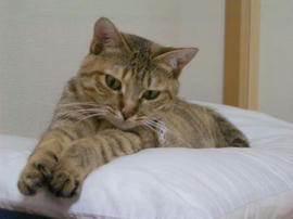 IMGP11313.jpg
