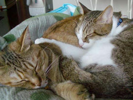 IMGP11371.jpg