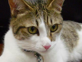 IMGP11448.jpg