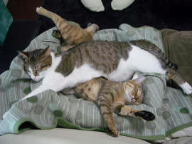 IMGP11495.jpg