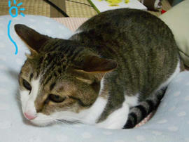 IMGP11555.jpg