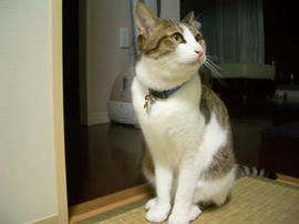 IMGP11588.jpg