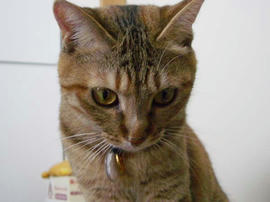 IMGP11635.jpg