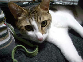 IMGP11798.jpg