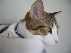 IMGP11826.jpg