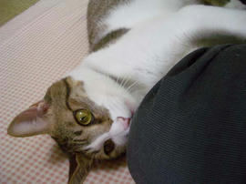 IMGP11894.jpg
